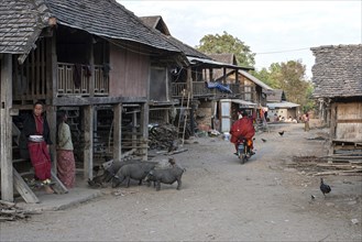 Palaung village