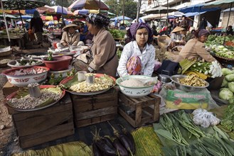 Local women selling vegetables at a market