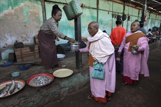 Buddhist monks collecting money