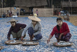 Local women wearing straw hats and Thanaka paste on their faces