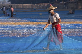 Local woman wearing a straw hat and Thanaka paste on her face laying down a blue net for drying freshly caught fish
