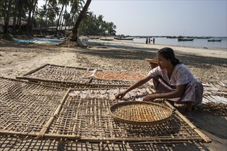 Native woman laying fish out to dry on a bamboo frame