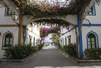 Typical alley decorated with flowers