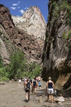 North Fork Virgin River