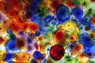 Colourful hand blown glass flowers