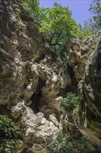 Eroded rocks at the entrance to Neptune's Grotto