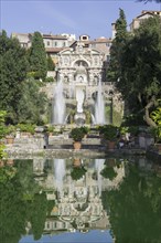 Neptune fountain and water features