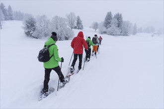 Snowshoe walking