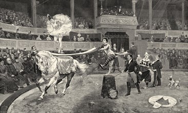 A circus performance