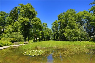 Spa garden