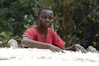 Woman spreading cassava out to dry