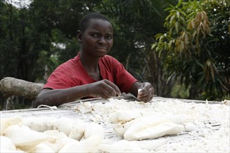 Woman spreading cassava out to dry