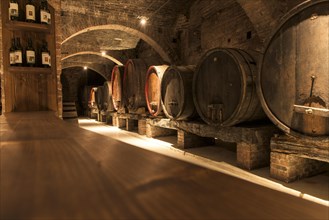Wine cellar with old wooden barrels