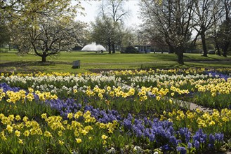 Flowerbeds in the egapark