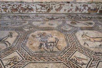 Early Christian mosaic floor with animal symbolism