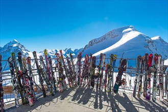 Skis lined up