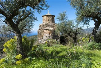 Small Greek Orthodox Church in a mountain village on the coast surrounded by olive trees