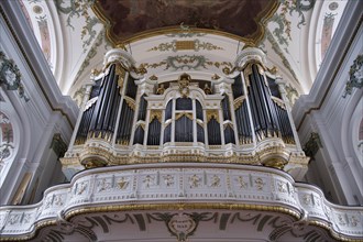 Organ gallery