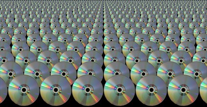 CDs lined up in rows