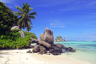 Coconut palms and granite rocks on beach
