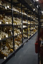 Shelves with alcohol-preserved animal specimens