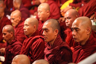 Buddhist monks meditating