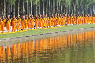 Monks next to pine forest