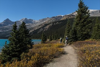 Trail on glacial lake Bow Lake