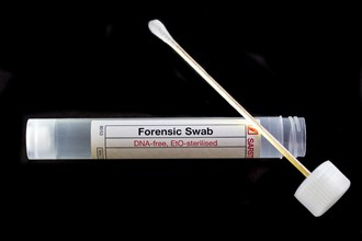 Forensic cotton swab for securing DNA