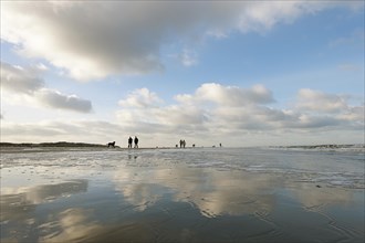 Walkers on the beach of the North Sea island Langeoog