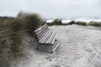 Bench in the dunes in rainy weather