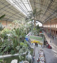 TropicalÂ greenhouseÂ at Atocha trainÂ station