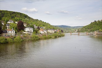 River Neckar viewed from the Alte Brucke