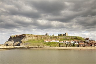 Whitby Harbour with the town