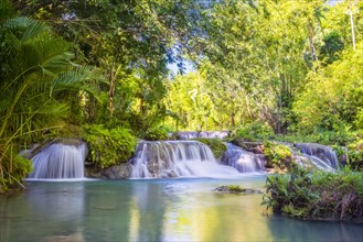 Cambugahay Falls surrounded by jungle foliage