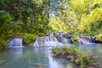 Cambugahay Falls surrounded by jungle foliage