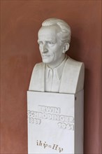 Bust of the Austrian physicist and Nobel laureate Erwin Schrodinger