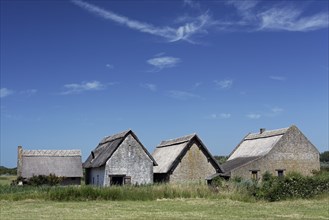 Replica of medieval fishermen's houses