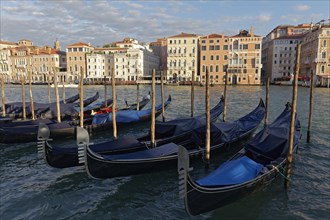 Grand Canal in the morning light with gondolas and Palazzi