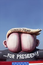 Presidential candidate Donald Trump as an ass with quiff