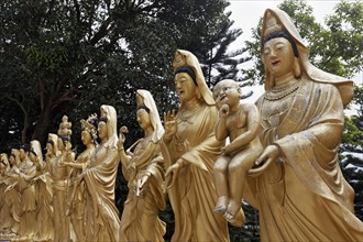 Statues of the Buddhist goddess Gunayin or Kwan Giu or Kwun Yam