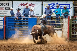 Bull riding competition