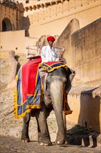 Elephant riding for tourists in front of the Amber Fort