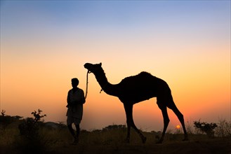 Silhouette of a man holding the reins of his camel at sunset
