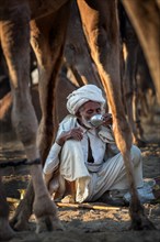 A man having a drink among his camels