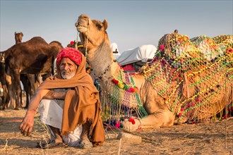A camel driver sitting in front of his camels