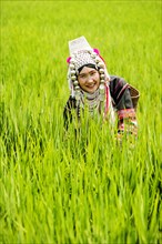 Akha woman in a rice field