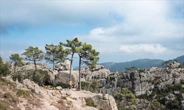 Mountainous landscape