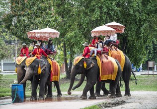 Native tourists riding decorated elephants