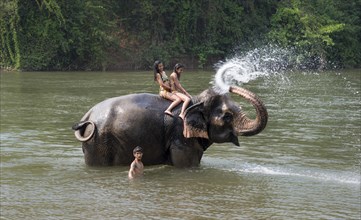 Elephant spraying two tourists